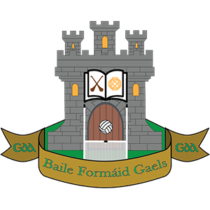 Ballyfermot Gaels