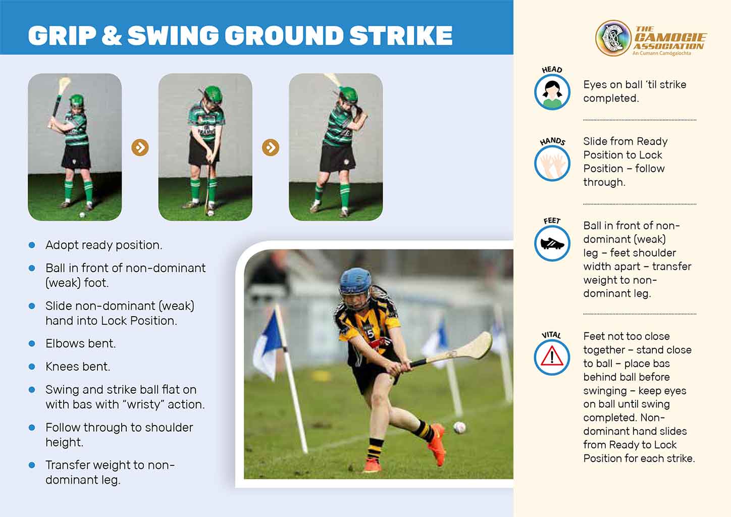 grip and swing camogie skillcard front